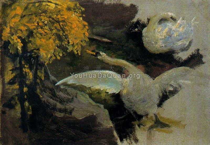 Cisnes - 伊格纳西奥·狄亚兹·奥拉诺